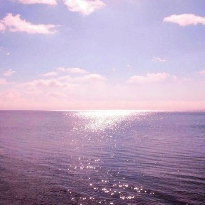 我想升官手机版(暂未上线)v1.0.1 安卓版